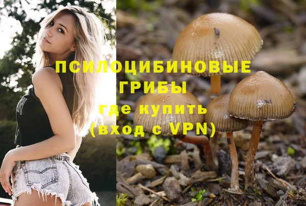 ГАЛЛЮЦИНОГЕННЫЕ ГРИБЫ Алзамай