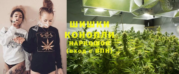 ГАЛЛЮЦИНОГЕННЫЕ ГРИБЫ Алзамай