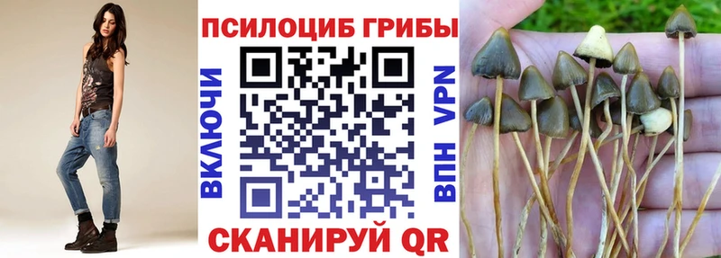 Галлюциногенные грибы ЛСД  Анжеро-Судженск 