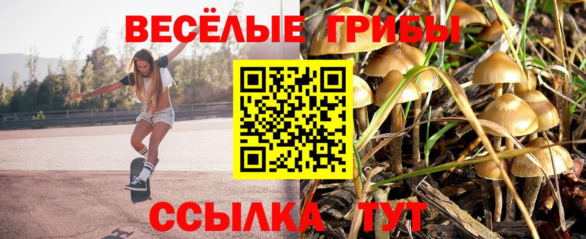 Галлюциногенные грибы мицелий Анжеро-Судженск