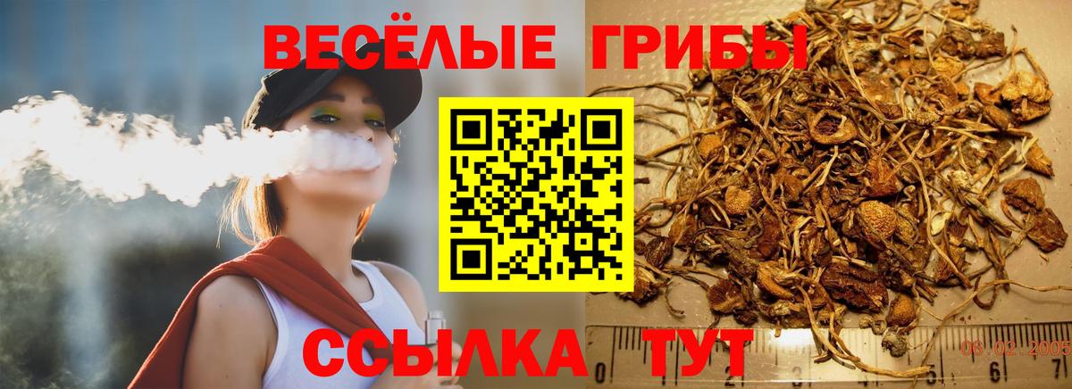 Анжеро-Судженск  Псилоцибиновые грибы Cubensis  Псилоцибиновые грибы ЛСД  закладка  Вход с VPN 